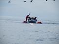 Bering Strait Crossing 180
